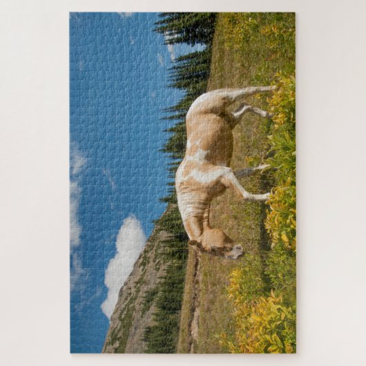 Pferd auf Gräsern im Sommer auf der Alp Wiese Puzzle (Vertikal)