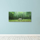 Pferd auf Wiese Leinwanddruck (Insitu (Holzboden))