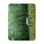 Pferd auf Wiese Magnet (Vertikal)