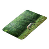 Pferd auf Wiese Magnet (Linke Seite)