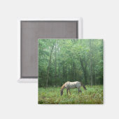 Pferd auf Wiese Magnet (Vorderseite/Rückseite)