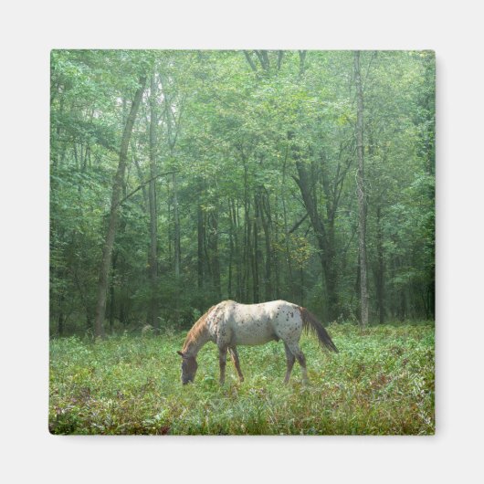 Pferd auf Wiese Magnet (Vorne)