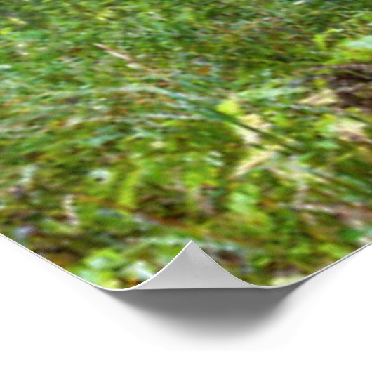 Pferd auf Wiese Poster (Ecke)