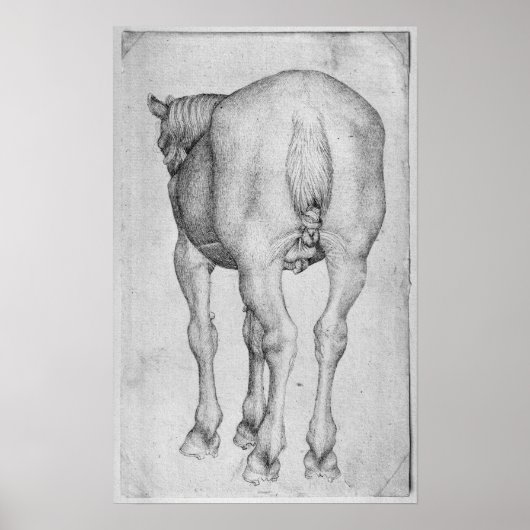 Pferd, aus dem Vallardi-Album Poster (Vorne)