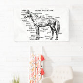 Pferd Banner (Insitu)