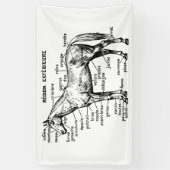 Pferd Banner (Vertikal)