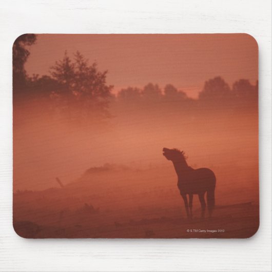 Pferd bei Sonnenaufgang Mousepad (Vorne)