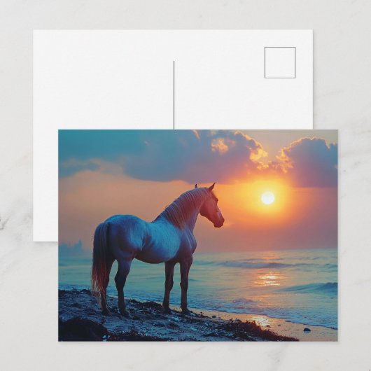 Pferd beobachten Sonnenuntergang am Meer Postkarte (Vorne/Hinten)