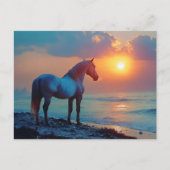 Pferd beobachten Sonnenuntergang am Meer Postkarte (Vorderseite)