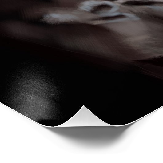 Pferd Blackas Mitternacht Poster (Ecke)