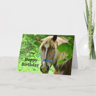 Pferd Brown belgischer Entwurf Foto Geburtstag Karte