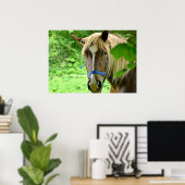 Pferd Brown belgischer Entwurf Foto Poster (Heimbüro)