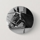 Pferd Button (Vorderseite)