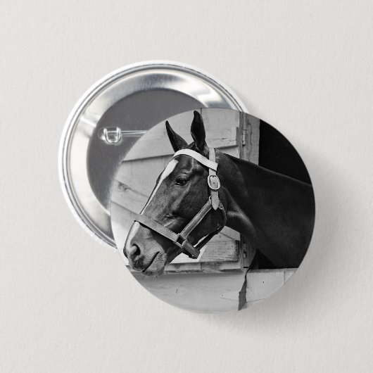 Pferd Button (Vorne & Hinten)