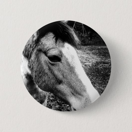 Pferd Button (Vorderseite)