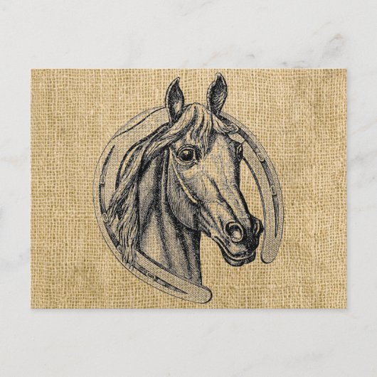 Pferd Cameo auf Burlap Postkarte (Vorderseite)