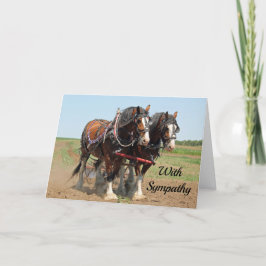 Pferd Clydesdale Foto Beileid Karte
