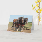 Pferd Clydesdale Foto Landwirtschaft Geburtstag Karte (Gelbe Blume)