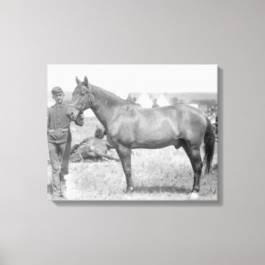 Pferd "Comanche" der einzige Überlebende des Custe Leinwanddruck (Vorderseite)