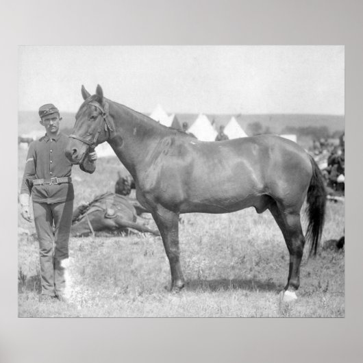 Pferd "Comanche" der einzige Überlebende des Custe Poster (Vorne)