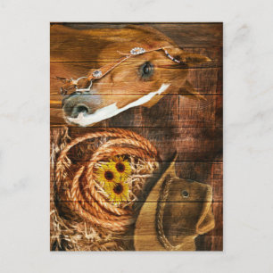Pferd Cowboy Hut Lasso Sonnenblume Rustikale Scheu Postkarte