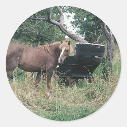 Pferd, das alte Buggy ausprobiert Runder Aufkleber (Vorderseite)