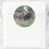 Pferd, das alte Buggy ausprobiert Runder Aufkleber (Tasche)