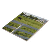 Pferd, das auf Bauernhof weiden lässt Fliese (Seite)