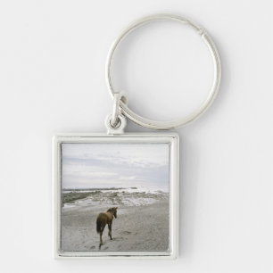 Pferd, das auf den Strand geht Schlüsselanhänger