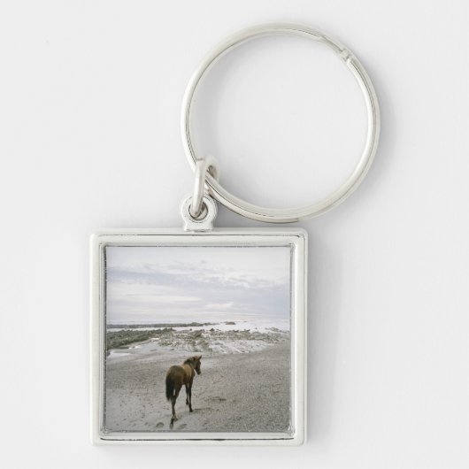 Pferd, das auf den Strand geht Schlüsselanhänger (Vorne)
