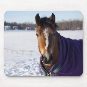 Pferd, das auf einem schneebedeckten Feld auf Mousepad