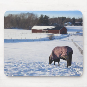 Pferd, das auf einem schneebedeckten Feld auf Mousepad