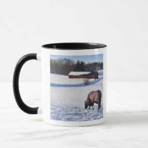 Pferd, das auf einem schneebedeckten Feld auf Tasse