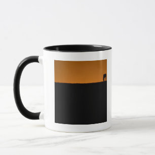 Pferd, das auf Kentucky-Bauernhof weiden lässt Tasse