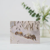 Pferd, das durch den Wald geschleudert wird Postkarte (Stehend Vorderseite)