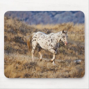 Pferd, das durch die malerischen Hügel der Big Hor Mousepad