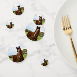 Pferd, das einen Banksienbaum schnüffelt, Konfetti