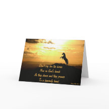 Pferd, das in der Sonnenuntergang-Silhouette