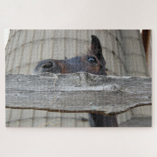 Pferd, das über den Zaun schaut Puzzle
