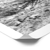 Pferd, das von einem Cowboyhut frisst. Poster (Ecke)