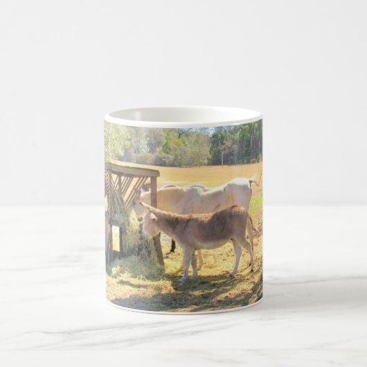 Pferd Die Fütternd Station - Farm Life Series Kaffeetasse (Mittel)