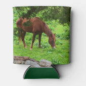 Pferd Dosenkühler (Vorderseite)