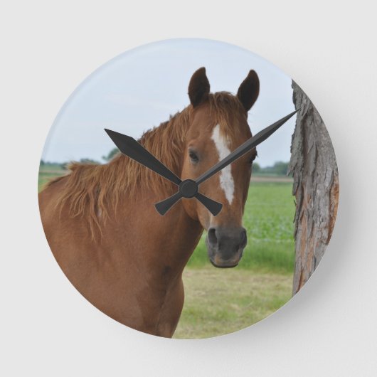 Pferd durch Baum Runde Wanduhr (Vorderseite)