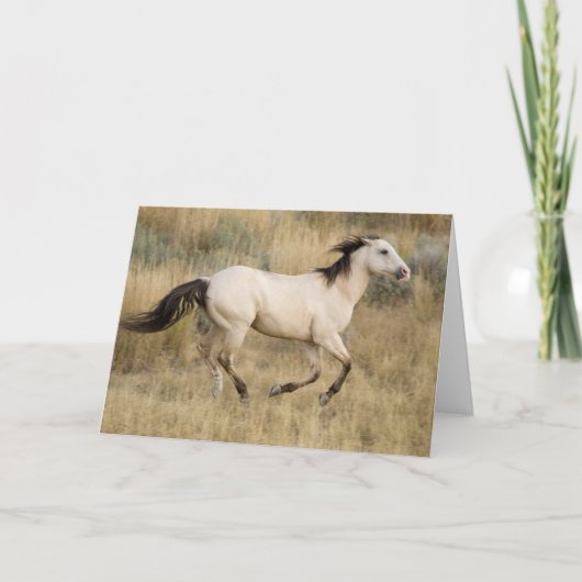 Pferd durch die Graslandschaft Prairie Karte (Vorderseite)