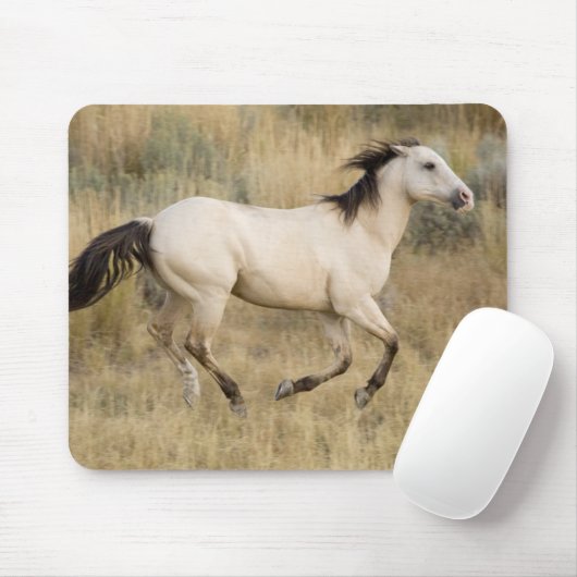 Pferd durch die Graslandschaft Prairie Mousepad (Mit Mouse)