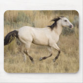 Pferd durch die Graslandschaft Prairie Mousepad (Vorne)
