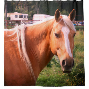 Pferd Duschvorhang
