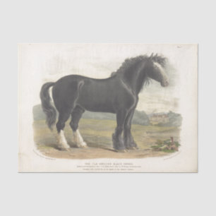 Pferd Ephemera Decoupage Vintag Altes Englisch Sch Seidenpapier