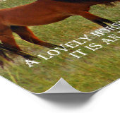 Pferd erleben poster (Ecke)