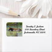 Pferd essen im Australischen See, Rücksendeadresse (Insitu)